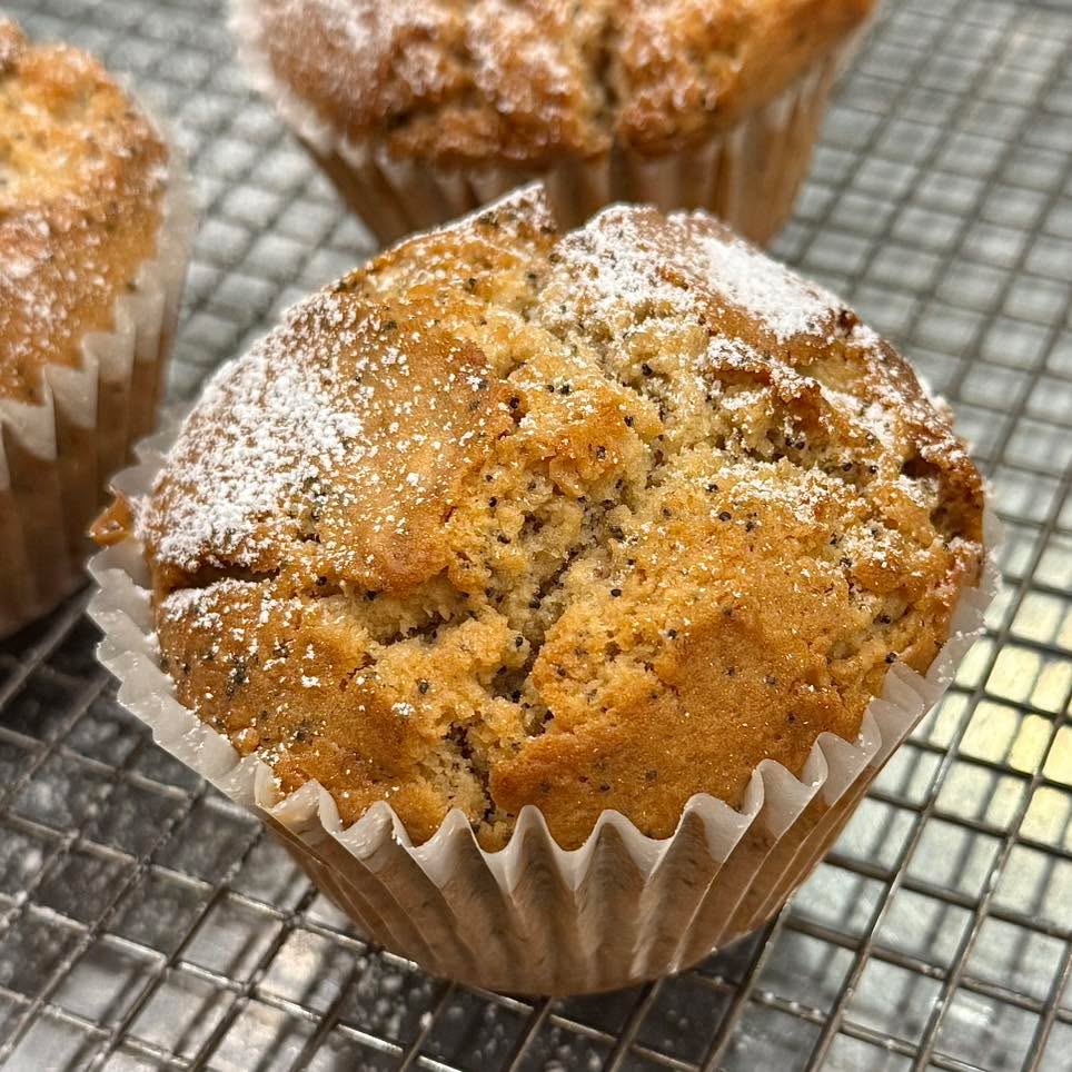 Vegan Lemon Poppyseed Muffin