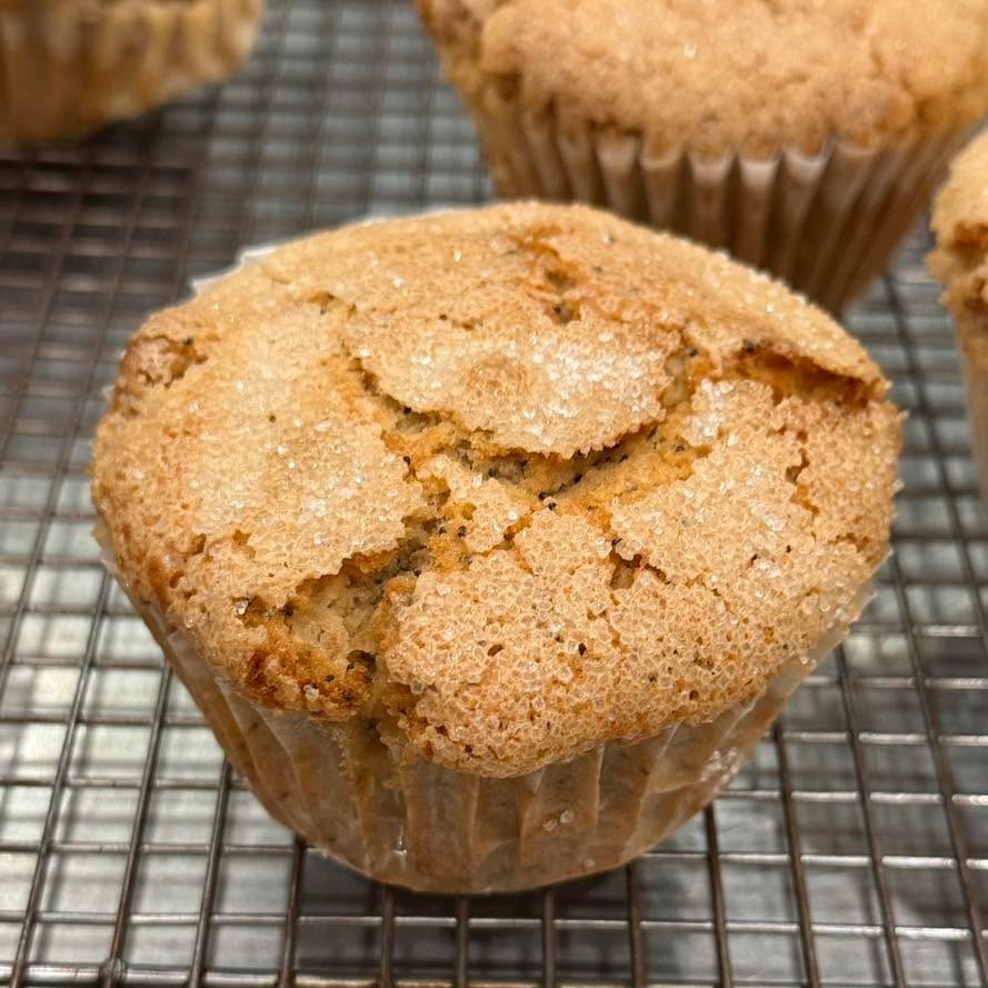 Vegan Lemon Poppyseed Muffin