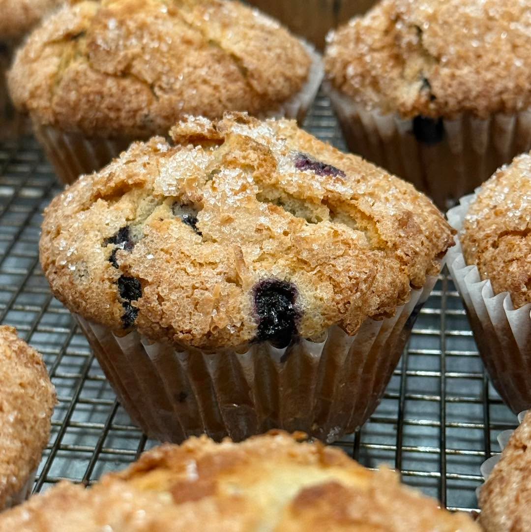 Blueberry Toasted Coconut Muffin