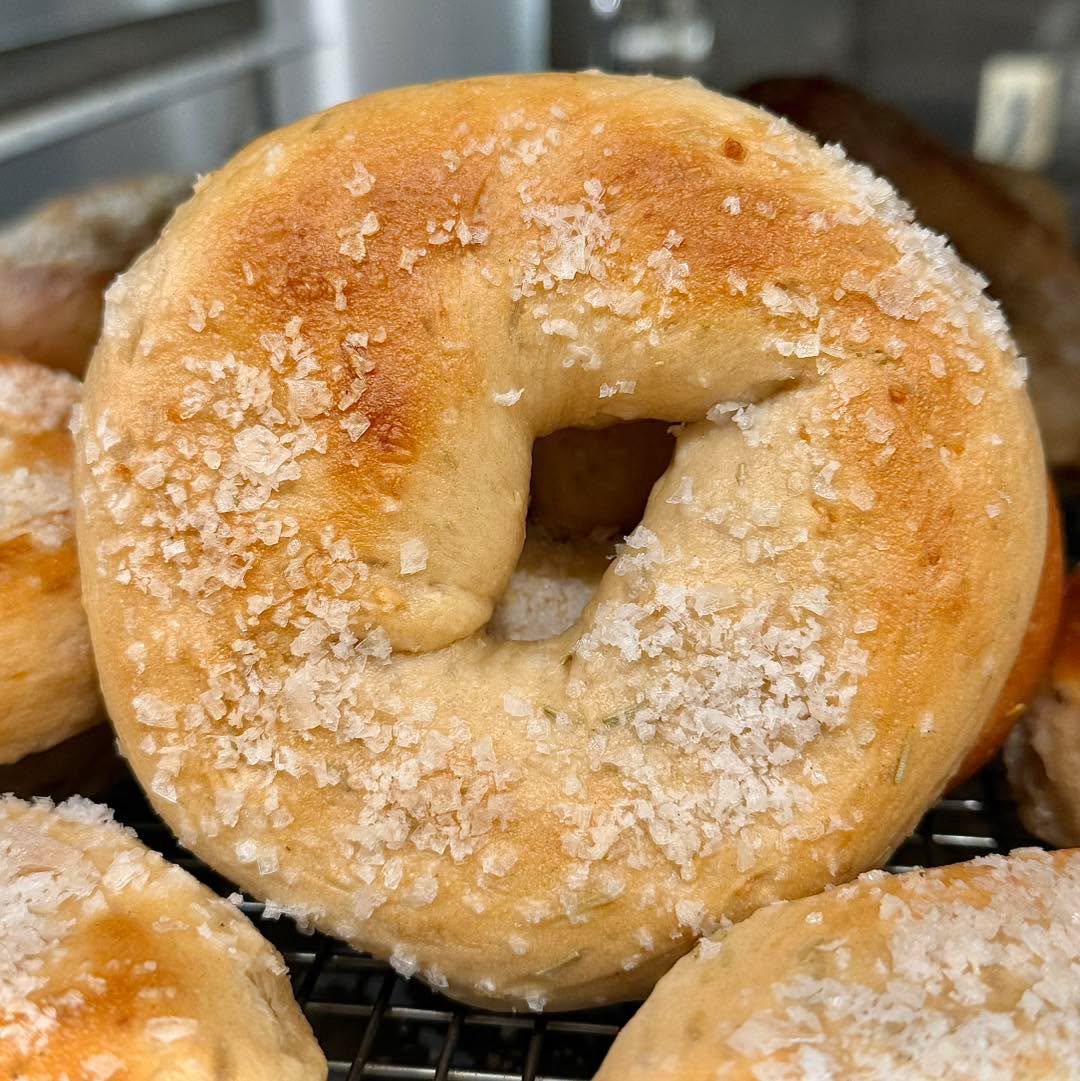 Bagel Special: Salted Rosemary Garlic