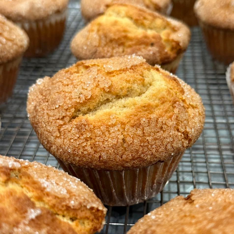 Pumpkin Spice Muffin