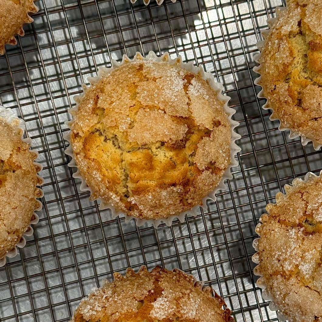 Pumpkin Walnut Muffin