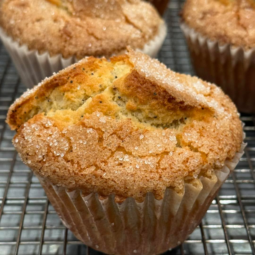Lemon Poppyseed Muffin