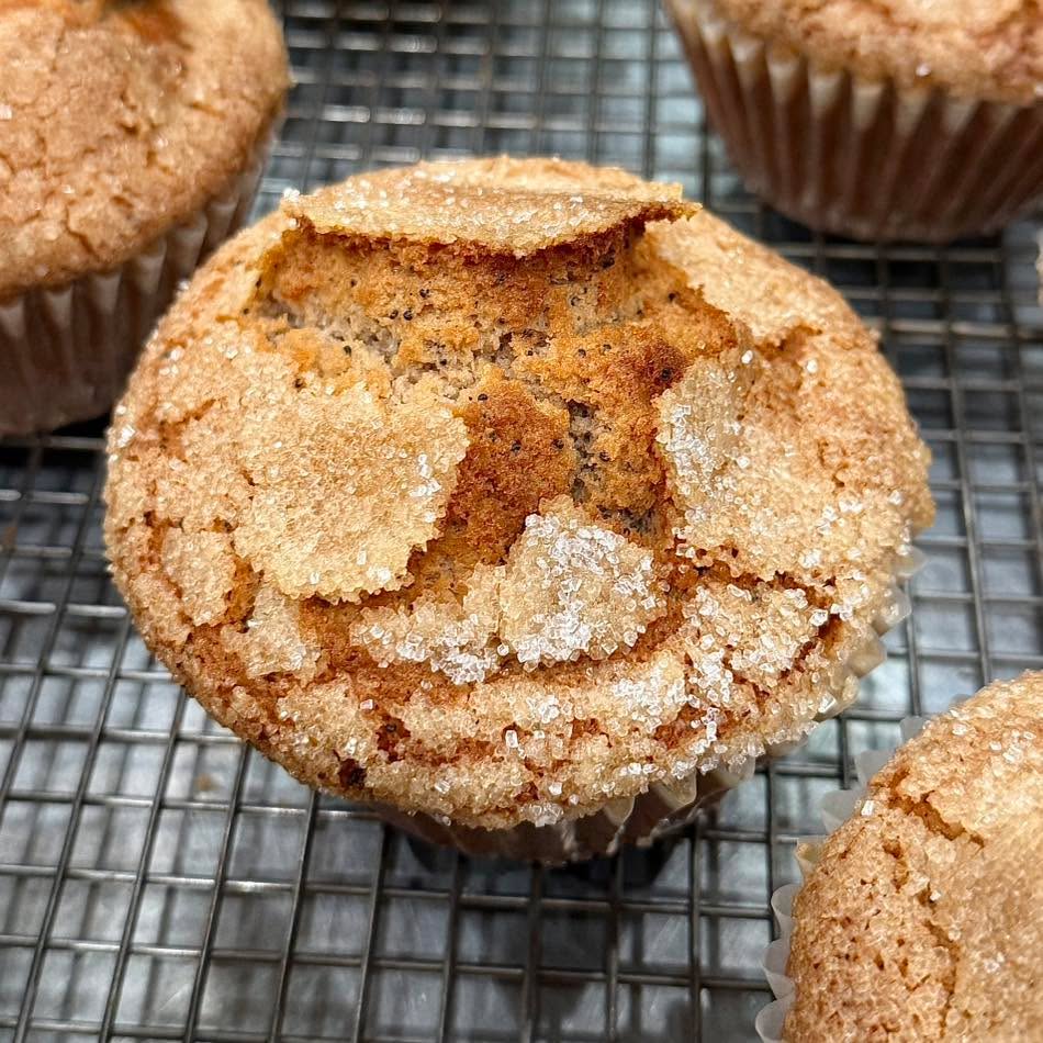 Strawberry Poppyseed Muffin
