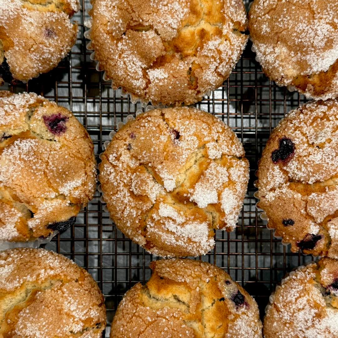 Blueberry Vanilla Bean Muffin