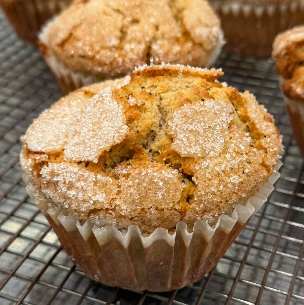Pumpkin Poppyseed Muffin